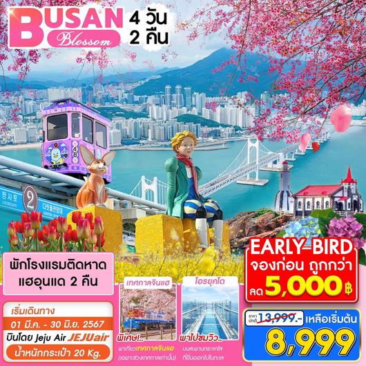 BUSAN BLOSSOM 4 วัน 2 คืน by JEJU AIR