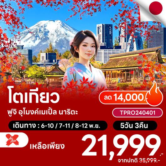 โปรไฟไหม้ ญี่ปุ่น โตเกียว นิกโก้ ทิวลิป อุโมงค์เมเปิ้ล ลด 14,000.-