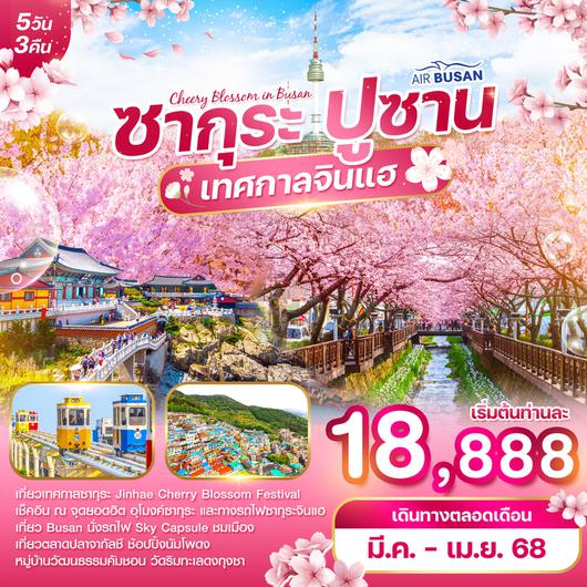 ทัวร์เกาหลี ปูซาน ซากุระ เทศกาลจินแฮ 5 วัน 3 คืน by Air Busan