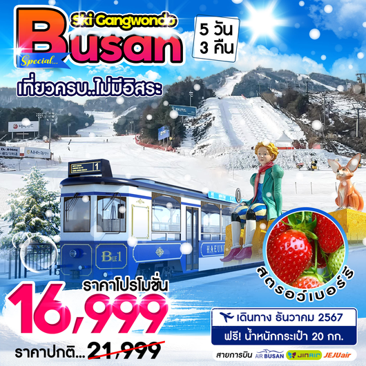 ทัวร์เกาหลี ปูซาน ลานสกี Gangwondo 5 วัน 3 คืน by Air Busan