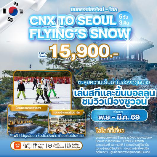 ทัวร์เกาหลี บินตรงเชียงใหม่ โซล ซูวอน พระราชวังฮวาซองแฮงกุง วัดโชเกซา by Jeju Air 5 วัน 3 คืน