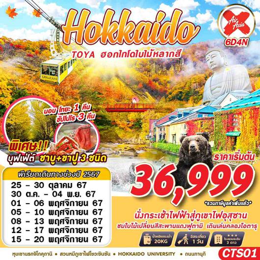 CTS01 XJ DMK HOKKAIDO TOYA ฮอกไกโดใบไม้หลากสี (เที่ยวเต็ม) OCT-NOV 6D4N