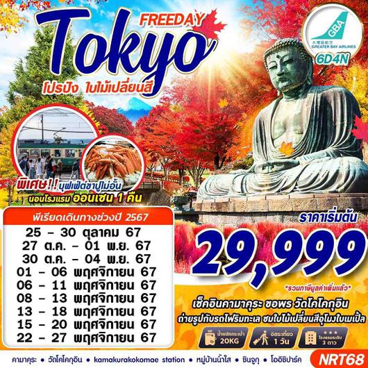 NRT68 HB BKK TOKYO AUTUMN โปรปัง ใบไม้เปลี่ยนสี (FREEDAY) OCT-NOV 6D4N