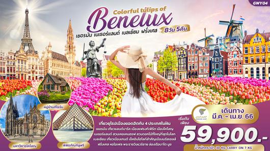 GWY04 COLORFUL TULIPS OF BENELUX 8วัน 5คืน
