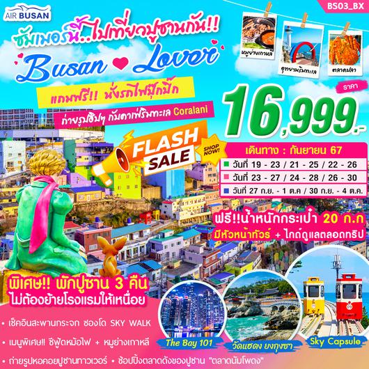 BS03_ทัวร์ปูซาน BUSAN LOVER 5 วัน 3 คืน บิน BX