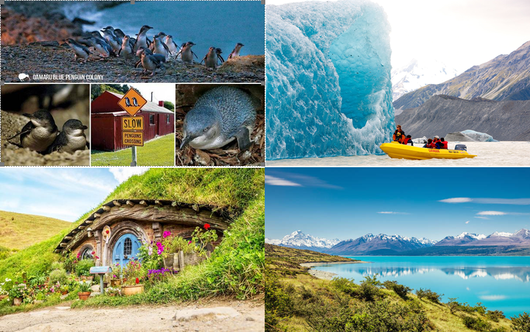 12 วัน เบสท์ ออฟ นิวซีแลนด์ เกาะเหนือ – ใต้ 