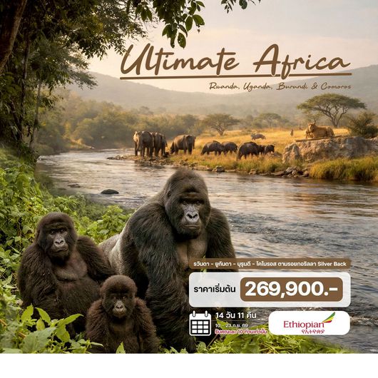 14 วัน รวันดา – ยูกันดา – บุรุนดี – โคโมรอส