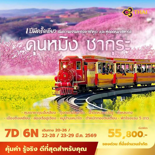 TG คุนหมิง ซากุระ 1 ปีมีครั้งเดียว ชมความงามของเขาซากุระ และทุ่งดอกมาสตาร์ด 7วัน6คืน พัก 5 ดาว ไม่ลงร้าน ไม่ขายออปชั่น