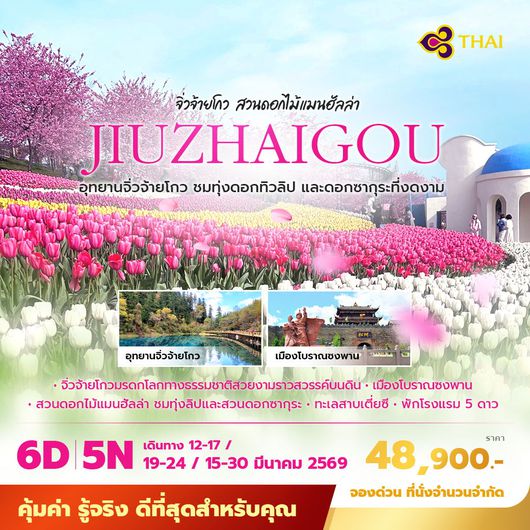 TG จิ่วจ้ายโกว สวนดอกไม้แมนฮัลล่า ชมดอกทิวลิป และทดอกซากุระที่งดงาม 6วัน5คืน ไม่ลงร้าน ไม่ขายออปชั่น