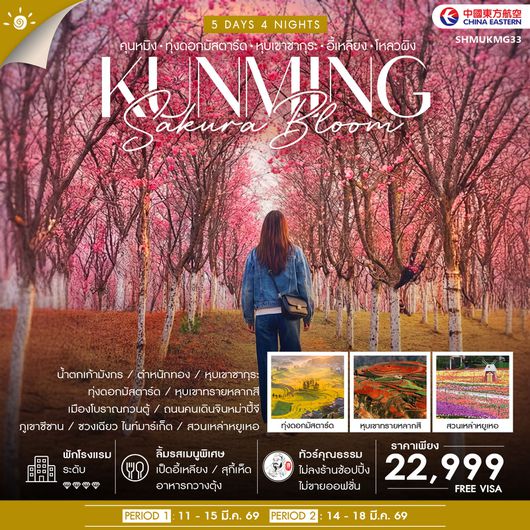 ทัวร์คุณธรรม Sakura & Mustard Bloom คุนหมิง หุบเขาซากุระ ทุ่งดอกมัสตาร์ด 5 วัน 4 คืน (MU)