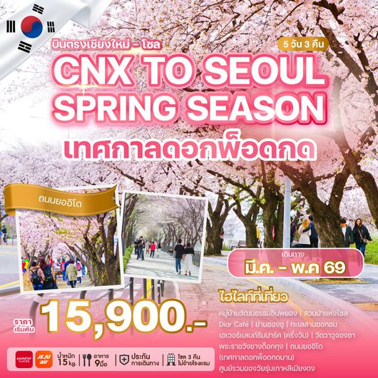 ทัวร์เกาหลี CHIANG MAI TO SEOUL SPRING SEASON 5 วัน 3 คืน