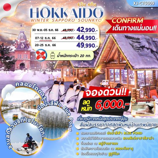 Hokkaido Winter Supporo Sounkyo 6 วัน 4 คืน