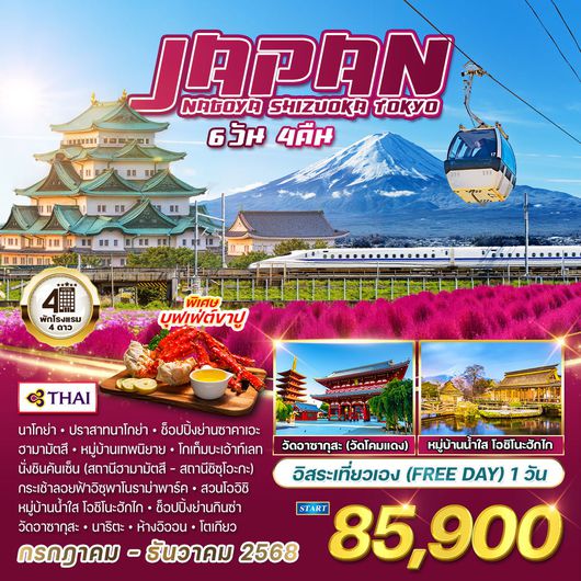 ทัวร์ญี่ปุ่น นาโกย่า - ชิซูโอกะ - โตเกียว 6 วัน 4 คืน (TG) JULY - DEC 2568