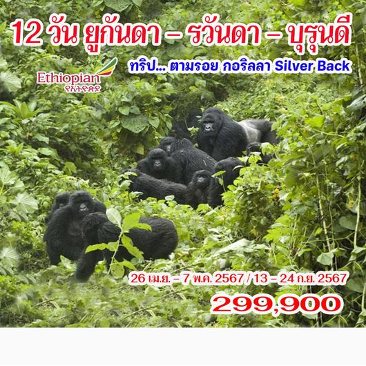 12 วัน ยูกันดา – รวันดา – บุรุนดี