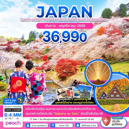 เลทส์โก โอซาก้า นาโกย่า ทาคายาม่า เกียวโต ชมซากุระและใบไม้แดงโอบาระ 6D4N by MM (ฟรีเดย์ 1 วัน)
