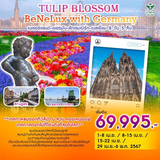 Tulip Blossom BeNeLux with Germany 8D5N By SV (ซ้ำ)