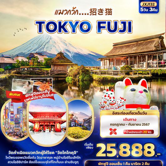 ทัวร์ญี่ปุ่น โตเกียว ฟูจิ แมวกวัก 5 วัน 3 คืน by Thai AirAsia X