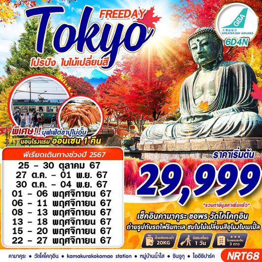ทัวร์ญี่ปุ่น โตเกียว ฟูจิ คามาคุระ 6 วัน 4 คืน by Greater Bay Airlines
