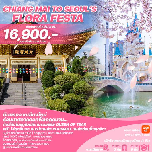 ทัวร์เกาหลี บินตรงเชียงใหม่ โซล เทศกาลดอกพ็อดกดบาน 5 วัน 3 คืน by Jeju Air