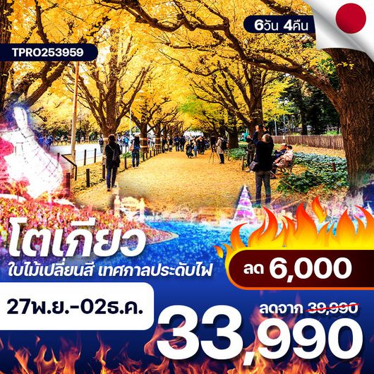 โปรไฟไหม้ ญี่ปุ่น โตเกียว ใบไม้เปลี่ยนสี เทศกาลประดับไฟ บินฟูลเซอร์วิส ลด 6,000.-