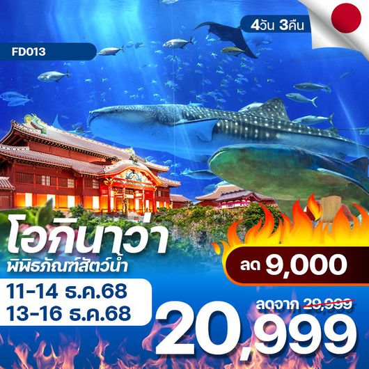 โปรไฟไหม้ japan okinawa โอกินาว่า ลมหนาว ปะทะ ลมทะเล ลดสูงสุด 9,000