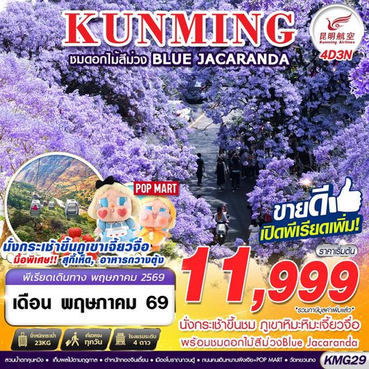 ทัวร์จีน คุนหมิง ภูเขาหิมะเจี้ยวจื่อ ชมดอกไม้สีม่วง 4 วัน 3 คืน by KUNMING AIRLINES