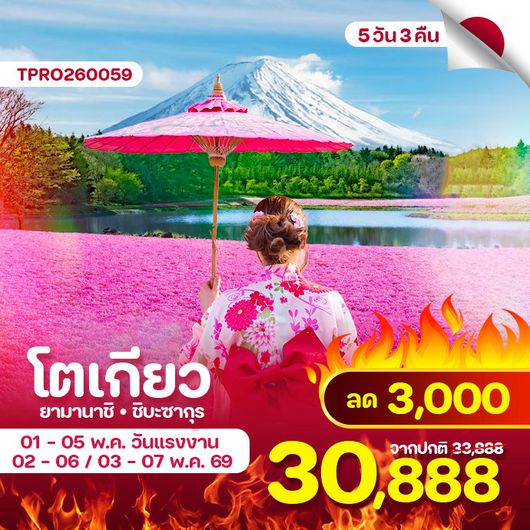 โตเกียว ยามานาชิ ชิบะซากุระ 5 วัน 3 คืน วันแรงงาน ลด 3,000