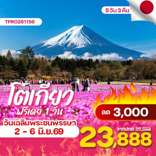 โปรไฟไหม้ ญี่ปุ่น โตเกียว ฟูจิ ฟรีเดย์ 1 วัน ลด 3,000.-