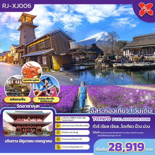 RJXJ006-ทัวร์ เรียล เรียล...โตเกียว ม๊วง ม่วง