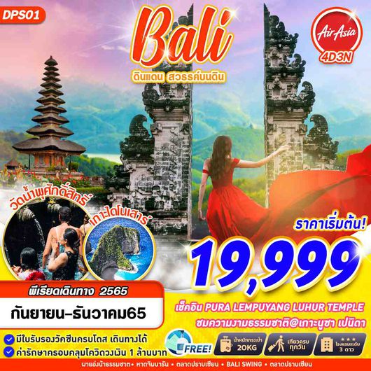 DPS01 FD DMK BALI ดินแดน สวรรค์บนดิน 4D3N
