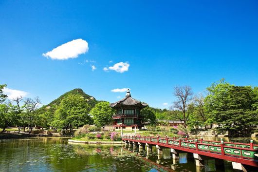 JK55 5D3N Korea Sakura Festival (Apr25)