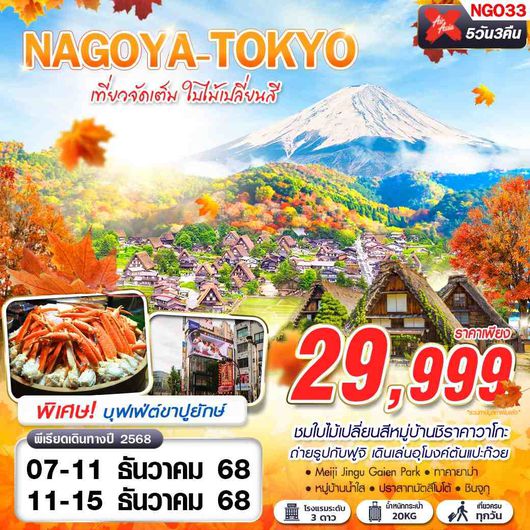 NGO33 DMK  XJ NAGOYA-TOKYO เที่ยวจัดเต็ม ใบไม้เปลี่ยนสี (บินดึก กลับสาย) 5D3N
