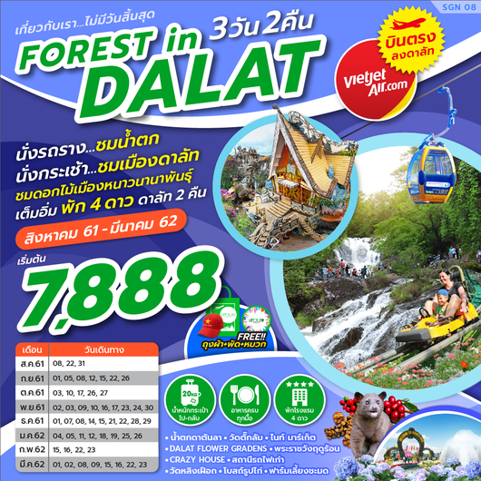 FOREST IN DALAT 3D2N