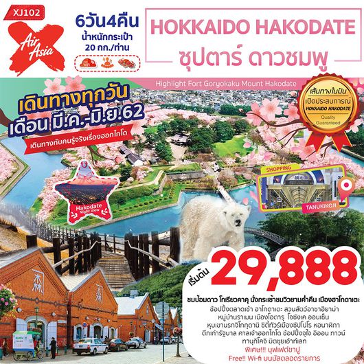 HOKKAIDO HAKODATE ซุปตาร์ ดาวชมพู 6D 4N