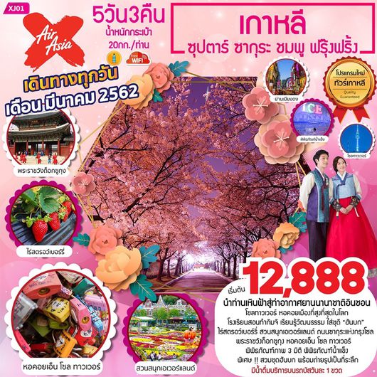 เกาหลี สวนสนุกเอเวอร์แลนด์ ซุปตาร์ ซากุระ ชมพู ฟรุ๊งฟริ้ง 5 วัน 3 คืน