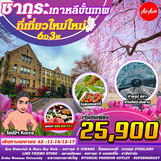 ซากุระ เกาหลี ขั้นเทพ 6วัน 3คืน