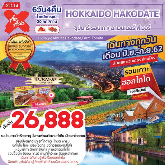 Hokkaido Hakodate ซุปตาร์ รอบเกาะ ลาเวนเดอร์ฟีเว่อร์ 6D 4N