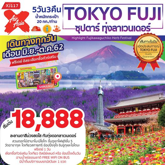 Tokyo Fuji ซุปตาร์ ทุ่งลาเวนเดอร์ 5D 3N