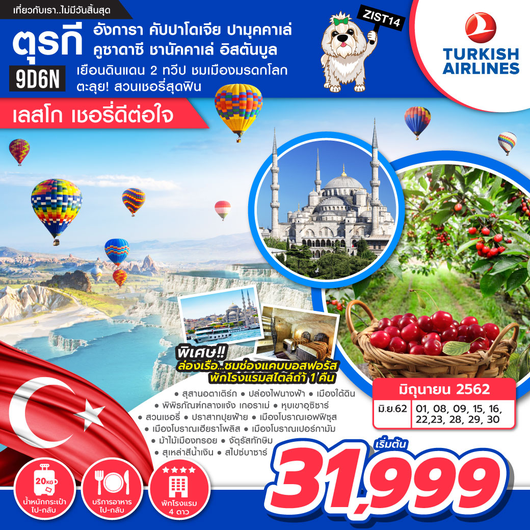 ตุรกี อังการา คัปปาโดเจีย ปามุคคาเล่ คูซาดาซี ชานัคคาเล่ อิสตันบูล เลสโก เชอรี่ดีต่อใจ 9D 6N