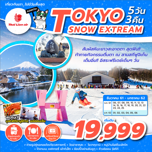 ญี่ปุ่น TOKYO SNOW EXTREAM 5วัน 3คืน
