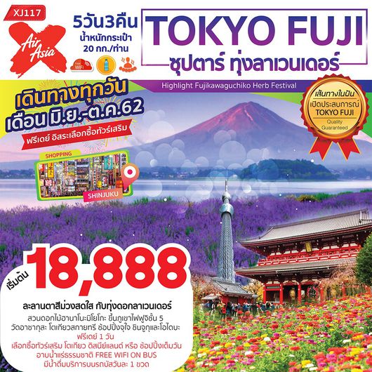 ทัวร์ญี่ปุ่น TOKYO FUJI ซุปตาร์ ทุ่งลาเวนเดอร์