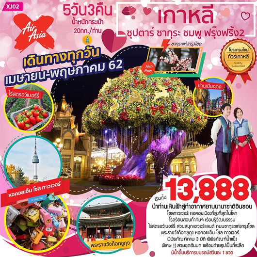 ทัวร์เกาหลี สวนสนุกเอเวอร์แลนด์ 5 วัน 3 คืน ซุปตาร์... ซากุระ ชมพู ฟรุ๊งฟริ้ง 2