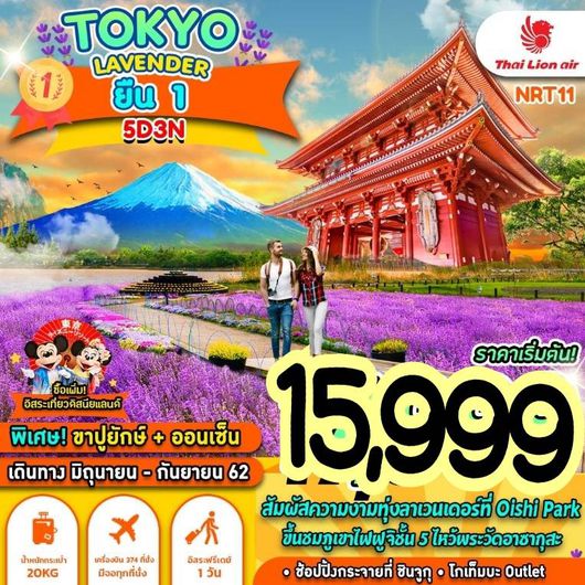 ทัวร์ญี่ปุ่น TOKYO LAVENDER ยืน 1 5D3N