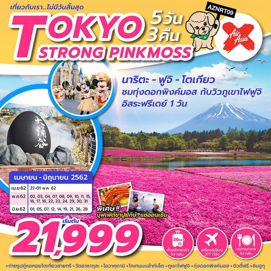 ทัวร์ญี่ปุ่น TOKYO STRONG PINKMOSS 5 วัน 3 คืน