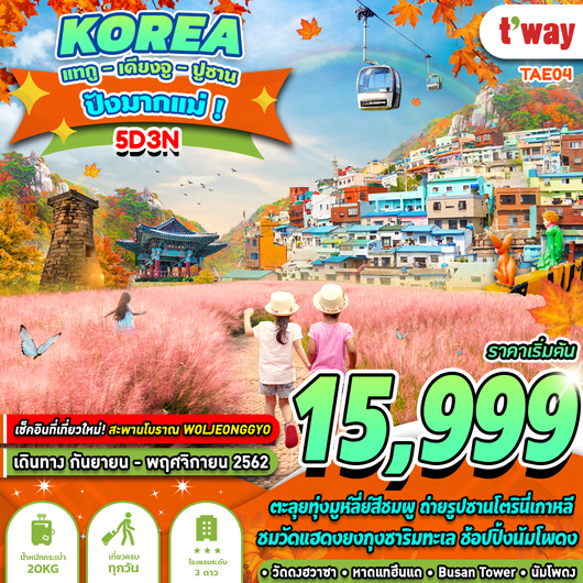ทัวร์เกาหลี ปังมากแม่ 5 วัน 3 คืน