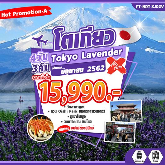 ทัวร์โตเกียว Tokyo Lavender