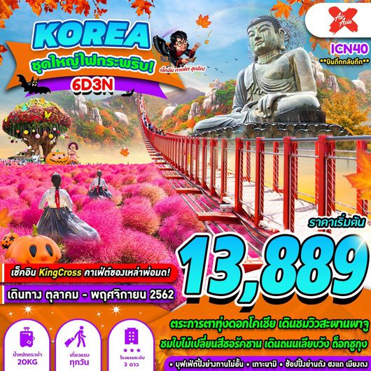 ทัวร์เกาหลี KOREA ชุดใหญ่ ไฟกระพริบ