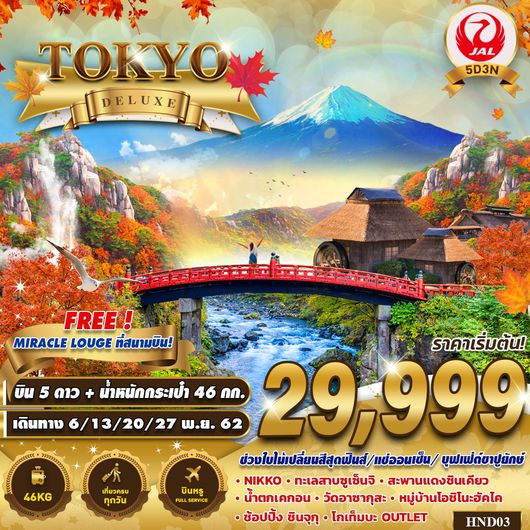 ทัวร์ญี่ปุ่น TOKYO DELUXE 5D3N