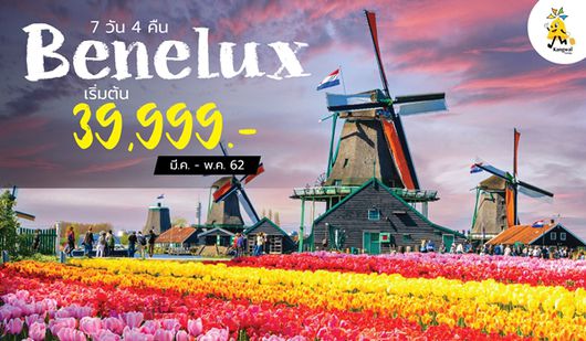 VCBENELUX (EK) Flower 7D