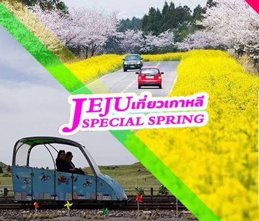 ทัวร์เชจู JEJU SPECIAL SPRING 4วัน 2คืน